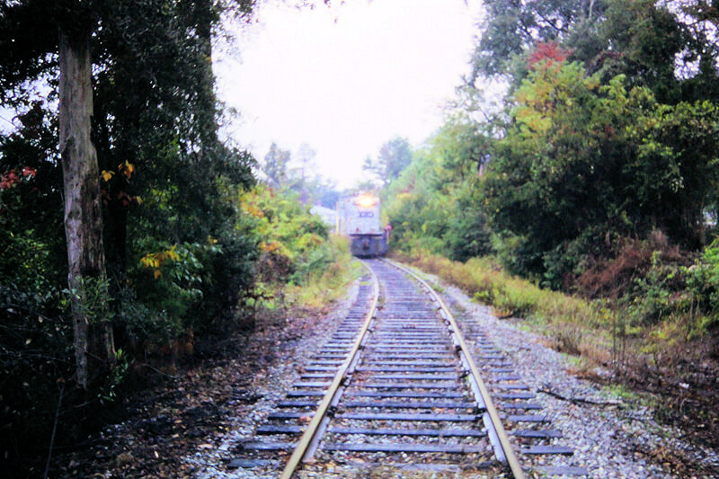 Train entering a tunnel
